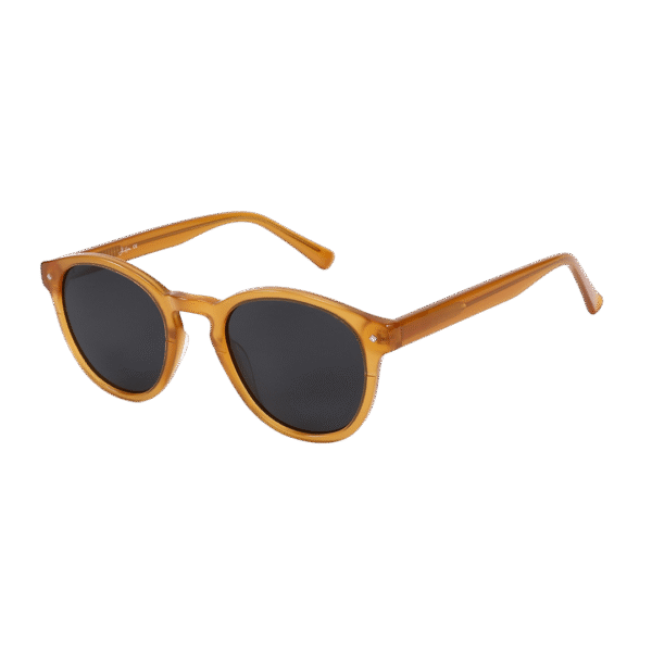 Lunettes_de_soleil-AL_HISTER-Homme-hawai-camel